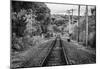 Train Tracks Oyster Bay New York B/W-null-Mounted Poster