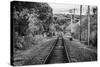 Train Tracks Oyster Bay New York B/W-null-Stretched Canvas