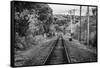 Train Tracks Oyster Bay New York B/W-null-Framed Stretched Canvas