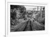 Train Tracks Oyster Bay New York B/W-null-Framed Photo