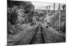 Train Tracks Oyster Bay New York B/W-null-Mounted Photo