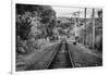 Train Tracks Oyster Bay New York B/W-null-Framed Photo