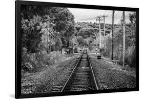 Train Tracks Oyster Bay New York B/W-null-Framed Photo