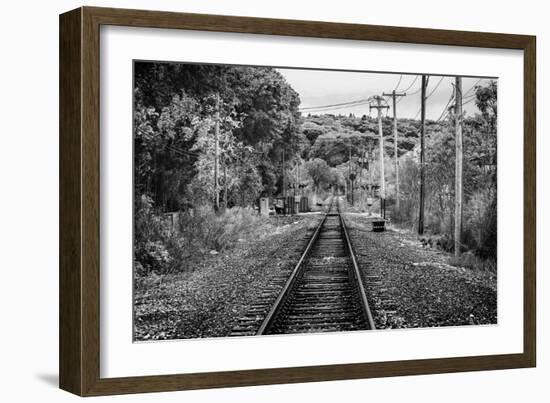 Train Tracks Oyster Bay New York B/W-null-Framed Photo