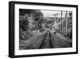 Train Tracks Oyster Bay New York B/W-null-Framed Photo