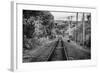 Train Tracks Oyster Bay New York B/W-null-Framed Photo