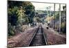 Train Tracks Oyster Bay New York-null-Mounted Poster