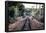 Train Tracks Oyster Bay New York-null-Framed Poster