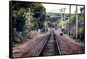 Train Tracks Oyster Bay New York-null-Framed Stretched Canvas