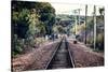 Train Tracks Oyster Bay New York-null-Stretched Canvas