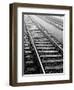 Train Tracks, Zurich, Switzerland-Walter Bibikow-Framed Photographic Print