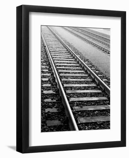 Train Tracks, Zurich, Switzerland-Walter Bibikow-Framed Photographic Print