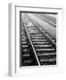 Train Tracks, Zurich, Switzerland-Walter Bibikow-Framed Photographic Print