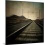 Train Travelling at Speed on a Railway-Luis Beltran-Mounted Photographic Print