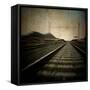 Train Travelling at Speed on a Railway-Luis Beltran-Framed Stretched Canvas
