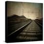 Train Travelling at Speed on a Railway-Luis Beltran-Stretched Canvas