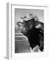 Trained Cow Wearing a Hat-Nina Leen-Framed Photographic Print