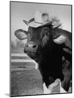 Trained Cow Wearing a Hat-Nina Leen-Mounted Photographic Print