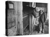 Trainer Jim Fitzsimons at Aqueduct Track Stables after William Woodward's Death in Stable-Grey Villet-Stretched Canvas