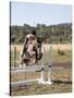 Training a Show Jumper-null-Stretched Canvas