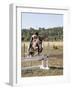 Training a Show Jumper-null-Framed Photographic Print