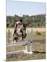 Training a Show Jumper-null-Mounted Photographic Print