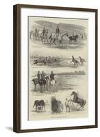 Training at Newmarket-null-Framed Giclee Print