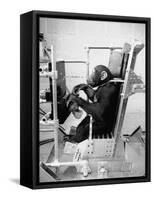 Training Chimpanzees at Hollowan Air Force Base for Trip into Space as Part of the Mercury Project-Ralph Crane-Framed Stretched Canvas