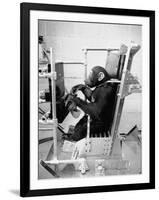 Training Chimpanzees at Hollowan Air Force Base for Trip into Space as Part of the Mercury Project-Ralph Crane-Framed Premium Photographic Print