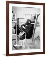 Training Chimpanzees at Hollowan Air Force Base for Trip into Space as Part of the Mercury Project-Ralph Crane-Framed Photographic Print