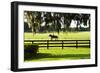 Training Day 2-Alan Hausenflock-Framed Photographic Print