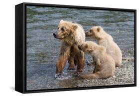 Training Day-Susann Parker-Framed Stretched Canvas