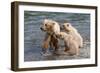 Training Day-Susann Parker-Framed Photographic Print