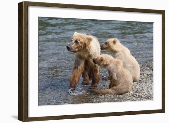 Training Day-Susann Parker-Framed Photographic Print