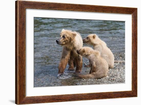 Training Day-Susann Parker-Framed Photographic Print