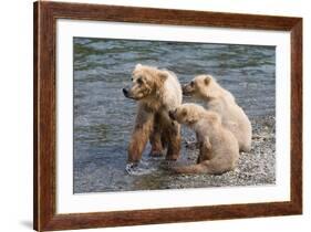 Training Day-Susann Parker-Framed Photographic Print