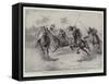 Training Egyptian Cavalry, Teaching the Troopers to Play Polo-William T. Maud-Framed Stretched Canvas