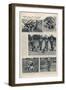 Training of Dogs for War Service: the Usefulness of Airedales-null-Framed Photographic Print