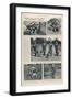 Training of Dogs for War Service: the Usefulness of Airedales-null-Framed Photographic Print