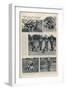 Training of Dogs for War Service: the Usefulness of Airedales-null-Framed Photographic Print