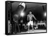Training of Muhammad Ali in Washington April 20, 1976-null-Framed Stretched Canvas