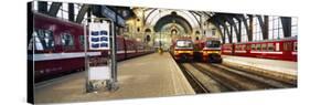 Trains at a Railroad Station, the Railway Station of Antwerp, Antwerp, Belgium-null-Stretched Canvas