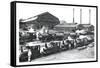 Trains near Factories, Philadelphia, Pennsylvania-null-Framed Stretched Canvas