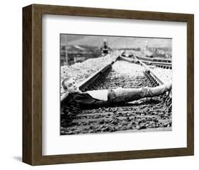 Trainspotting-null-Framed Photo