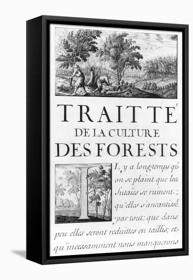 Traite de La Culture Des Forets-Sebastien Le Pretre de Vauban-Framed Stretched Canvas