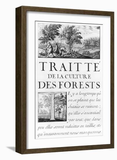 Traite de La Culture Des Forets-Sebastien Le Pretre de Vauban-Framed Giclee Print