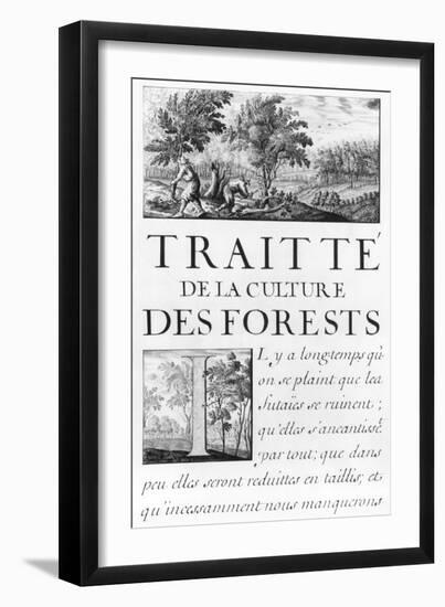 Traite de La Culture Des Forets-Sebastien Le Pretre de Vauban-Framed Giclee Print