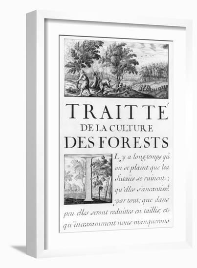 Traite de La Culture Des Forets-Sebastien Le Pretre de Vauban-Framed Giclee Print