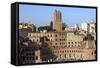 Trajans Markets, Ancient Rome, Rome, Lazio, Italy-James Emmerson-Framed Stretched Canvas