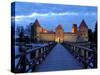 Trakai Castle Illuminated at Night, Trakai, Near Vilnius, Lithuania, Baltic States, Europe-Gary Cook-Stretched Canvas